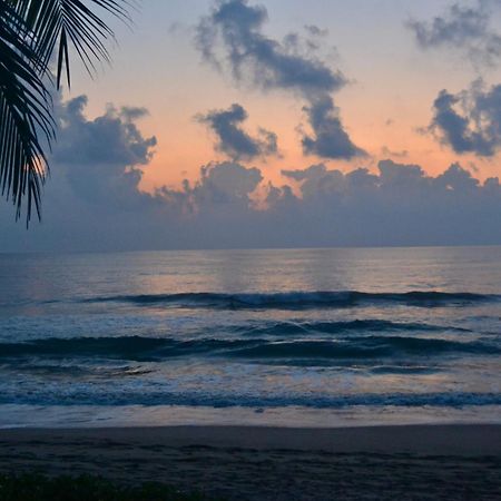Bed and Breakfast Casa Faro Troncones Exterior foto